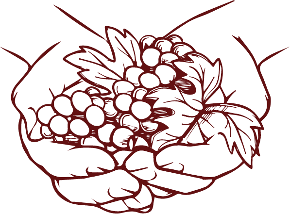 Enoteca Lazise Wine Shop Vendita Vini Bardolino Garda Wine Store Enoteca Vendita Vini Lago di Garda