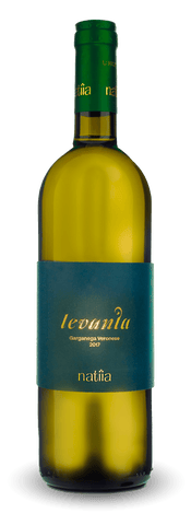 Wein Lazise Garda Bardolino - Preise Wein Gardasee Weißwein Preis Kosten