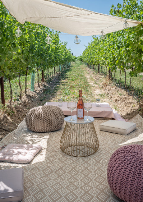 Wine Experience Lazise Bardolino Garda Aperitivo in Vigna Garda Pic Nic Lazise Wine Relais