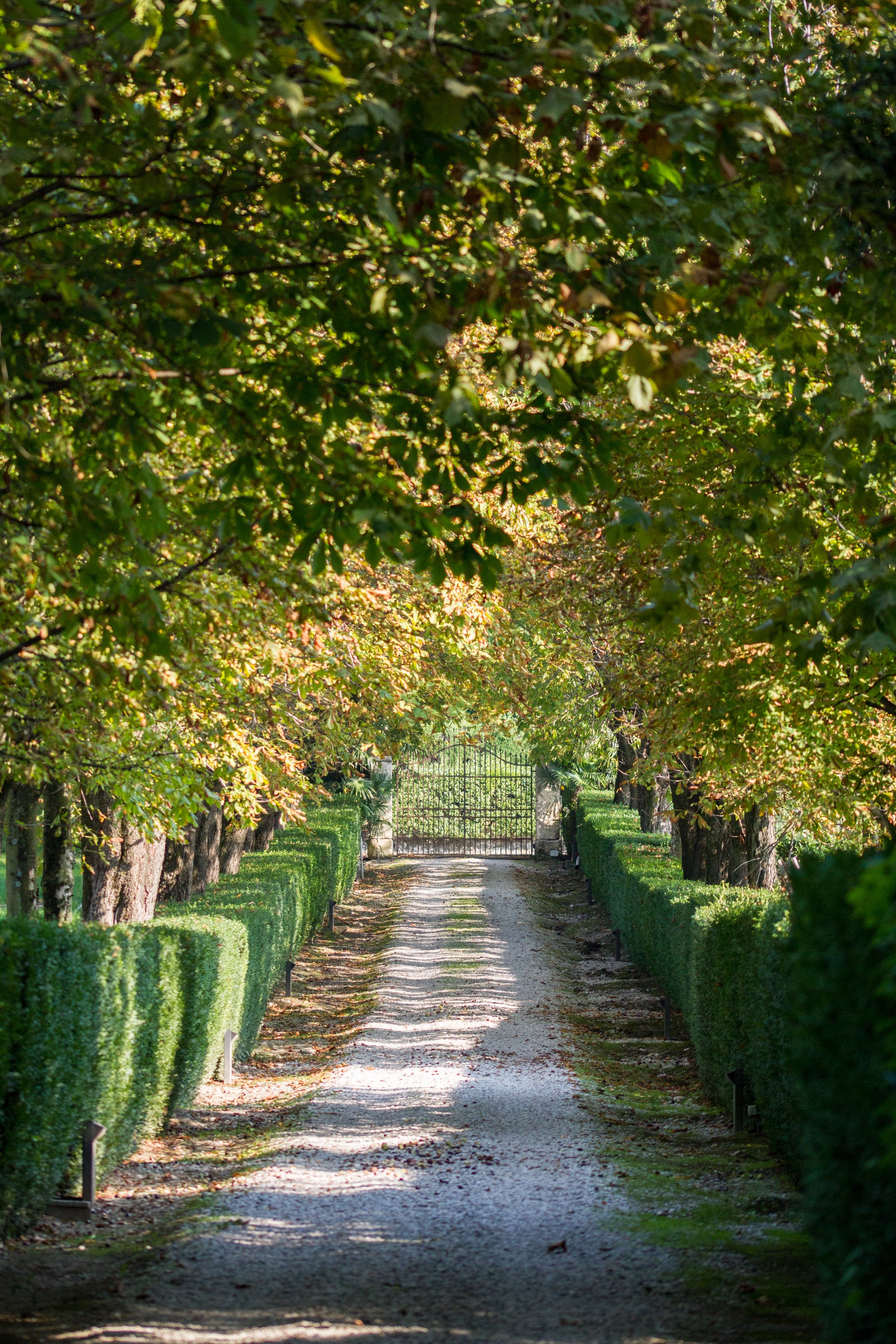 Natiia Wine Relais Lazise Wine Resort Garda 5-Sterne-Luxushotel Bardolino Gardasee Villa Bottona