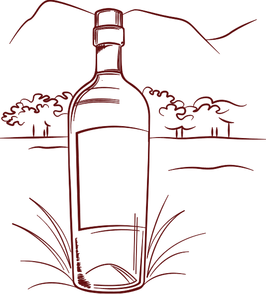 Wine Store Lazise Negozio Vini Bardolino Garda Wine Store Enoteca Vendita Vini Lago di Garda